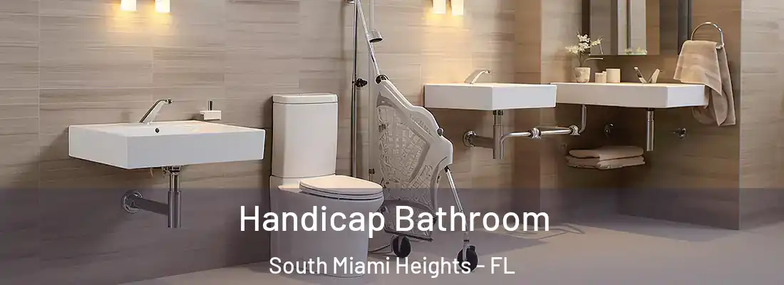 Handicap Bathroom South Miami Heights - FL