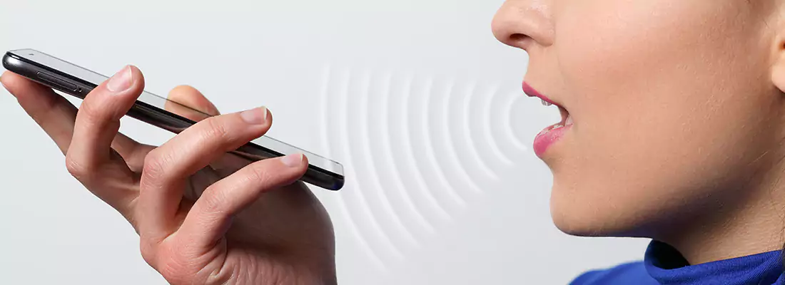 Residential and Commercial Voice Recognition Access Solutions in South Miami Heights, FL